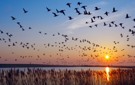 the trouble with retirement