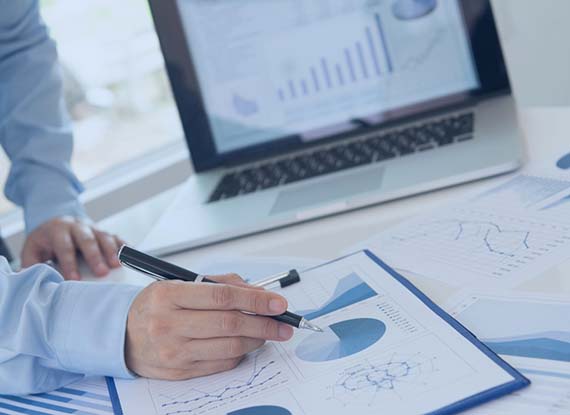 Government Debentures